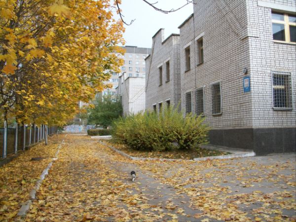 Перевірено контактну інформацію по дитячих будинках Миколаївської області